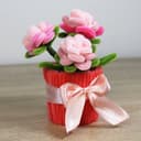 Trsová růže v květináči - malá