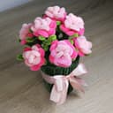 Trsová růže v květináči - velká